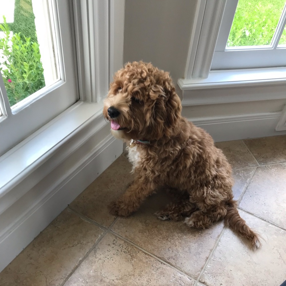 Meet your Posher, Michelle